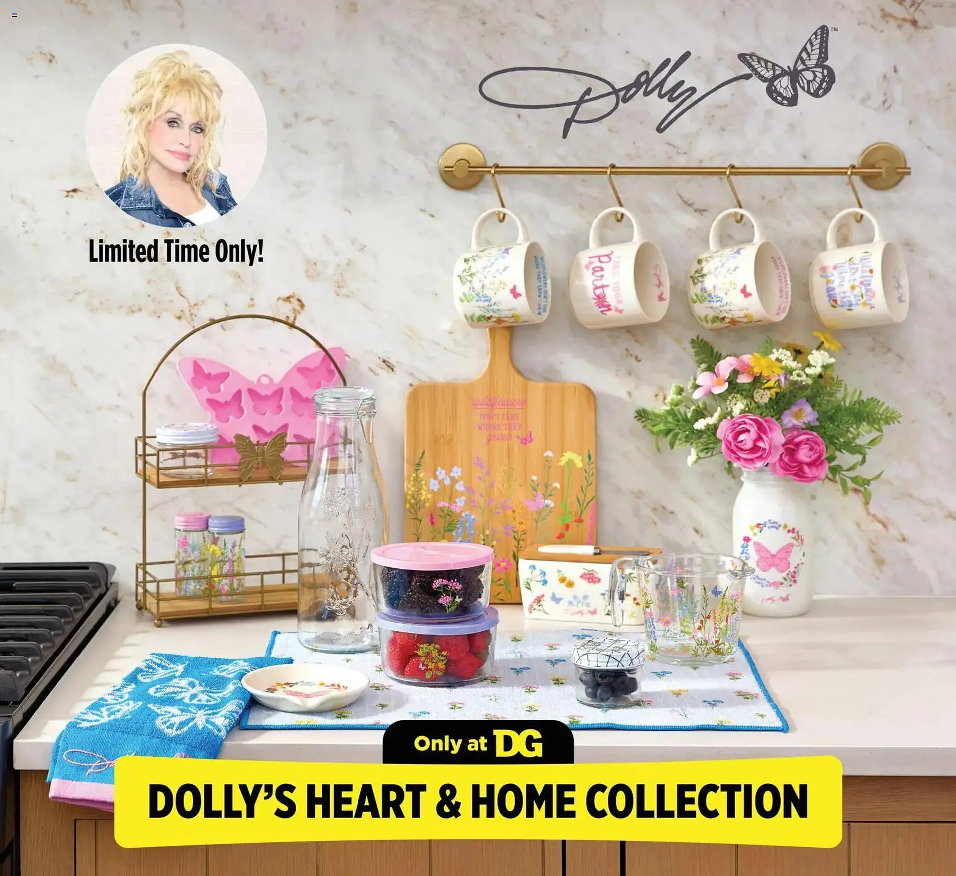 Weekly ad Dollar General weekly ad from March 22 to March 28 2026 - Page 9