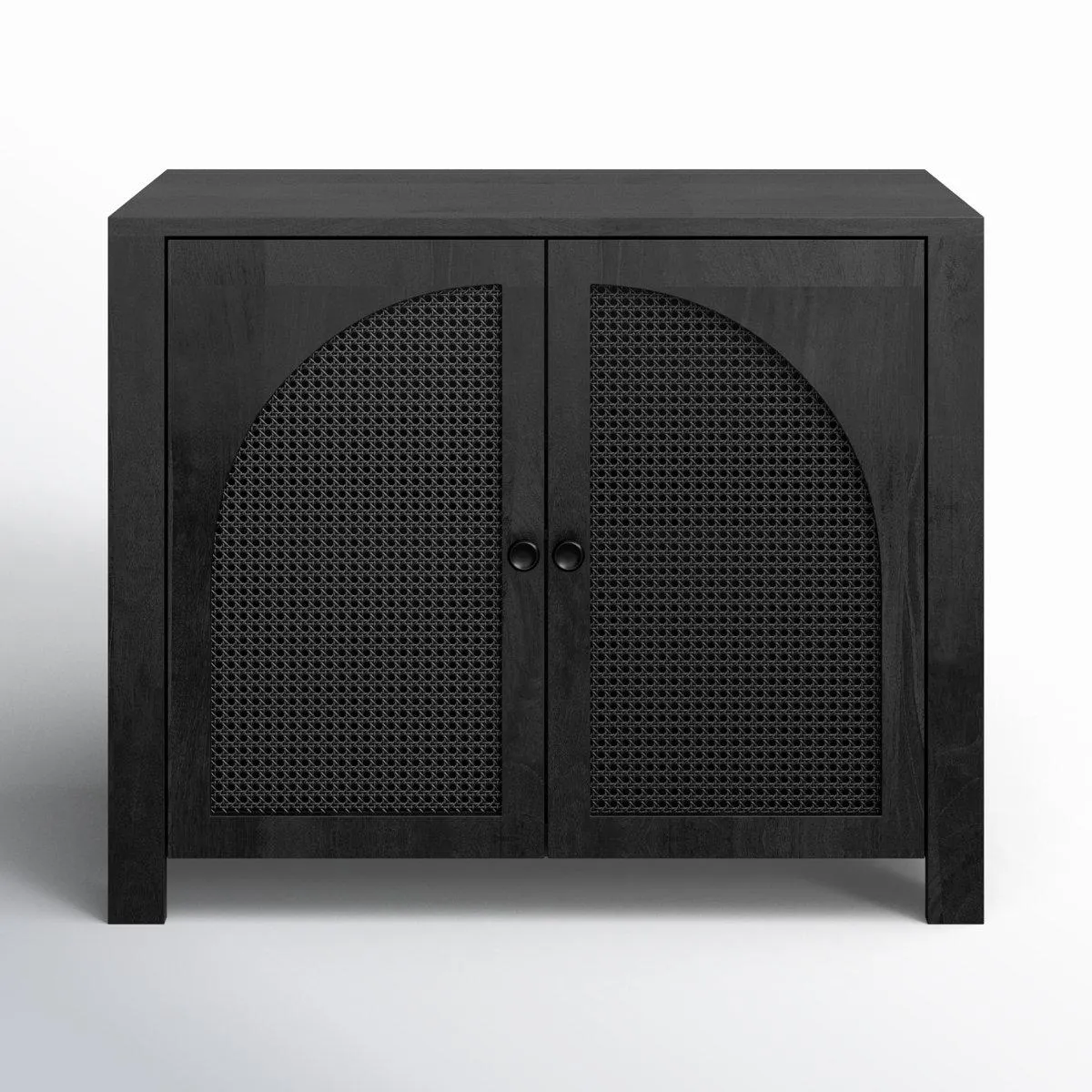 Chambers 2 Door Accent Cabinet