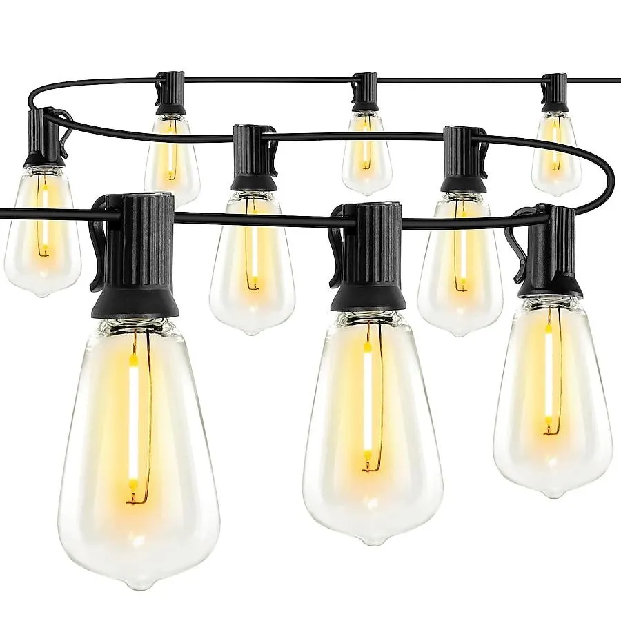 WYZM 50-Feet Plug-in Black Indoor/Outdoor String Light with 25 White -Light LED Globe Bulbs