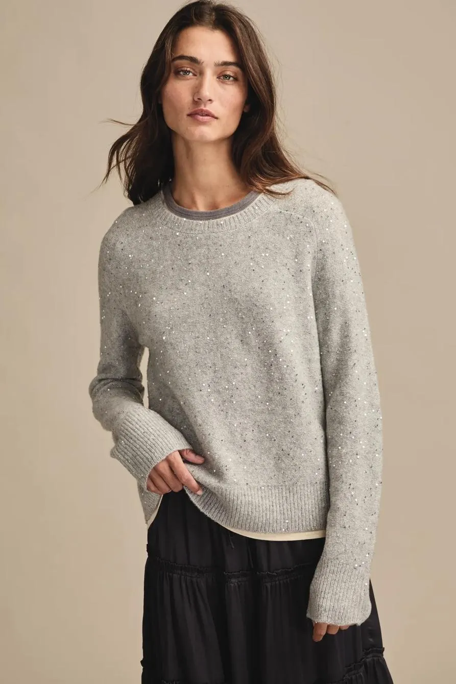 sequin crew neck sweater
