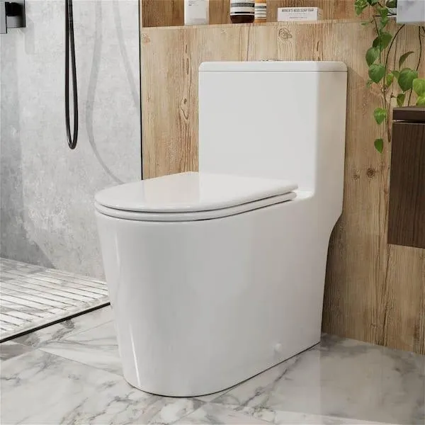 1-Piece 1.0 GPF/1.28 GPF Dual Flush Elongated Toilet in White Slow-Close, Seat Included