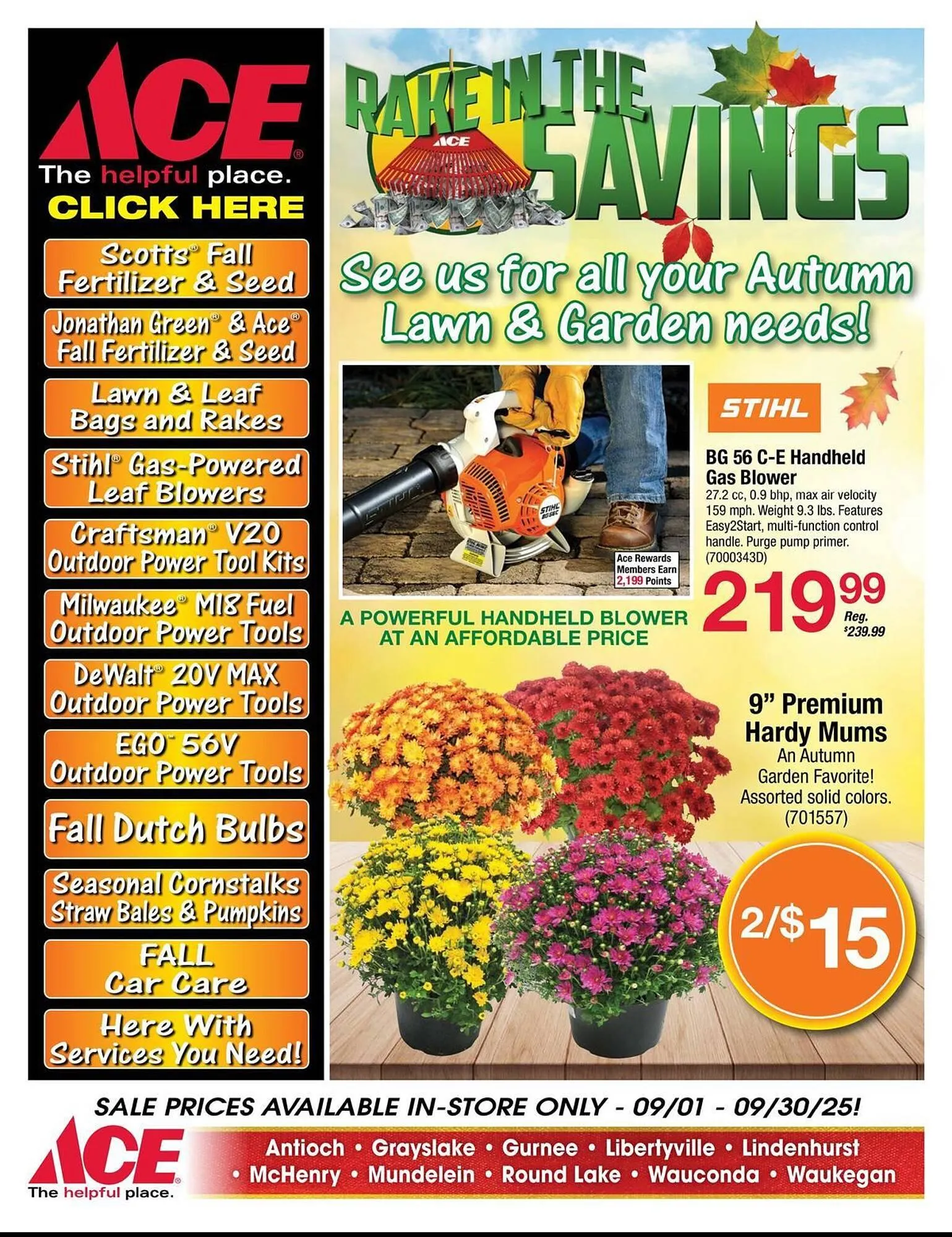 Ace Hardware flyer - 1