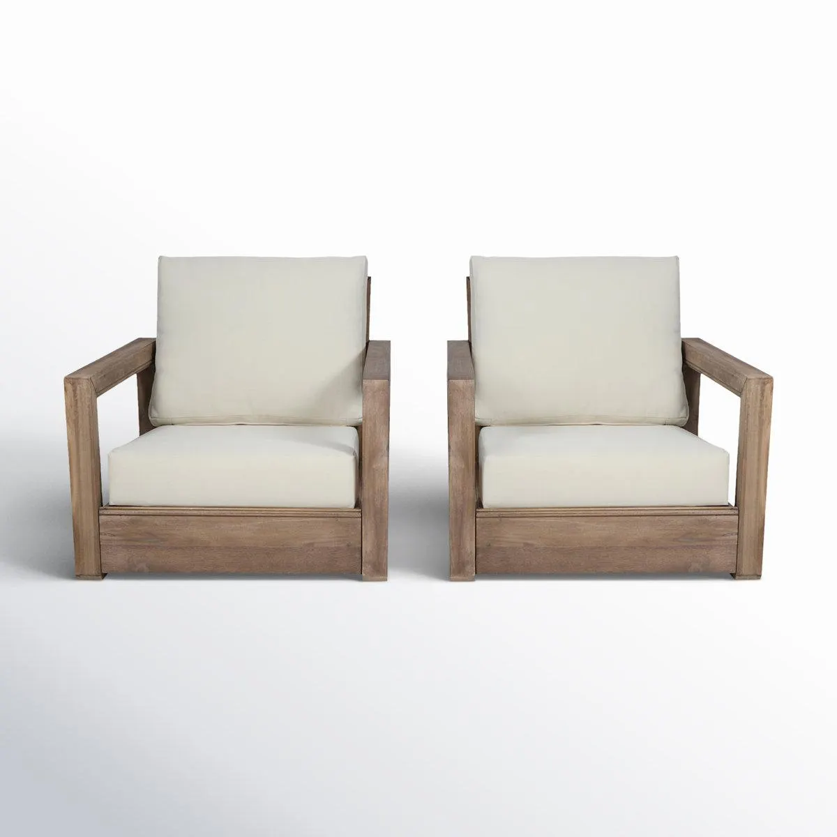 Donnie Patio Chair with Cushions (Set of 2)