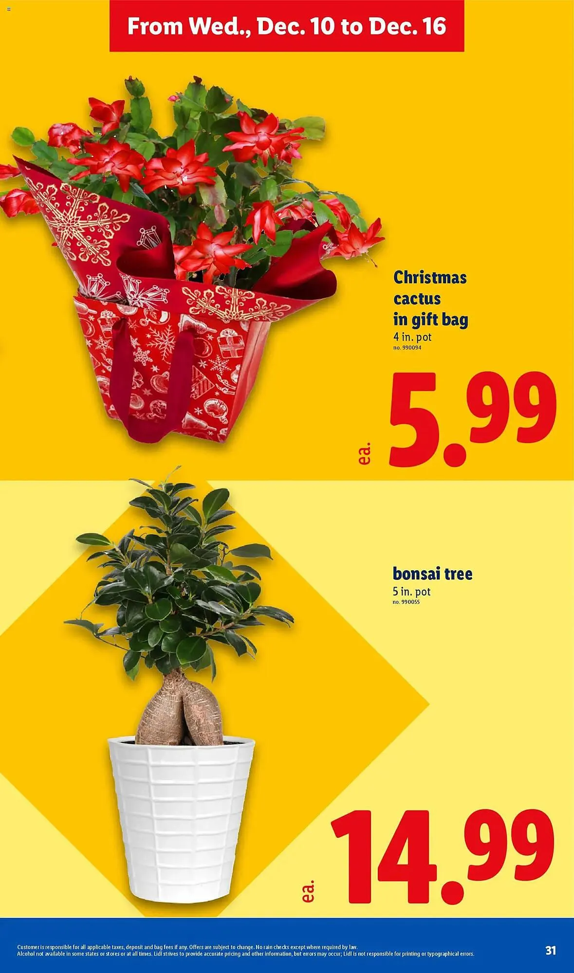 Weekly ad Lidl weekly ad from December 10 to December 16 2025 - Page 31