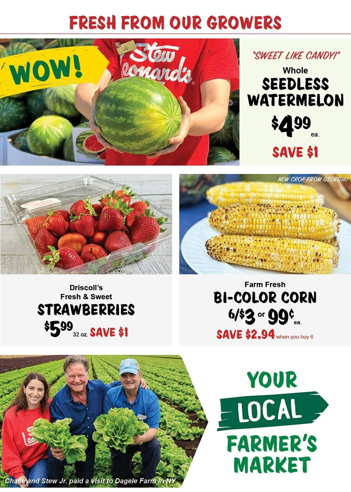 Weekly ad Stew Leonard's Weekly Ad from June 18 to June 24 2025 - Page 7