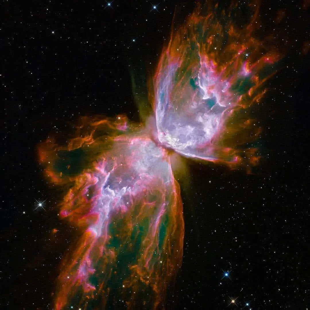 Unknown 50x40 "HUBBLE BUTTERFLY NEBULA" Telescope Space Photography NASA Photograph Art 1968