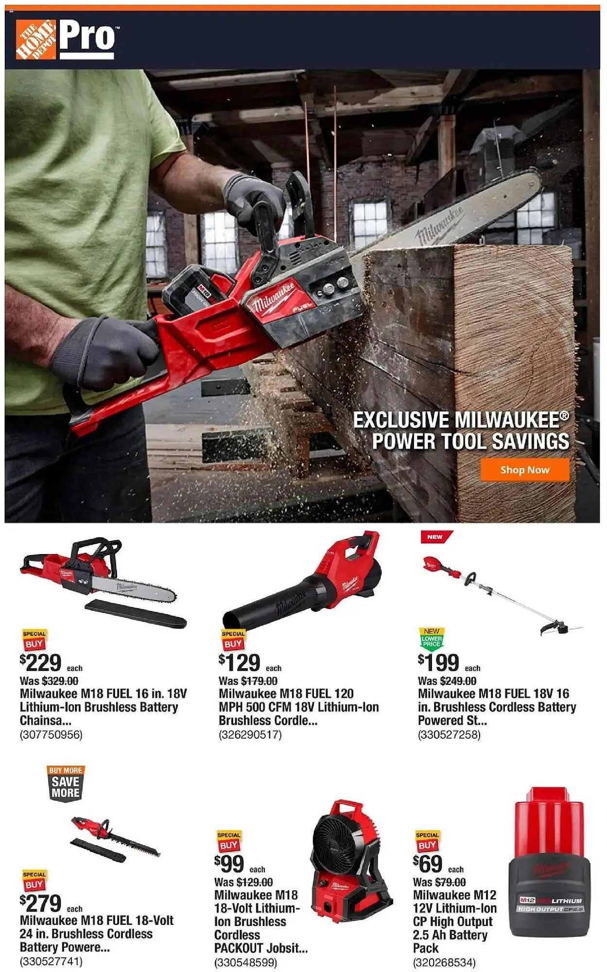 Weekly ad The Home Depot Weekly Ad from March 17 to March 24 2025 - Page 1