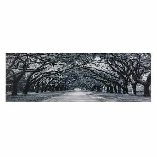 Oak Tree Path Canvas Wall Art, 60x20