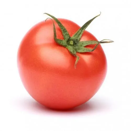 ON THE VINE STEM TOMATOES