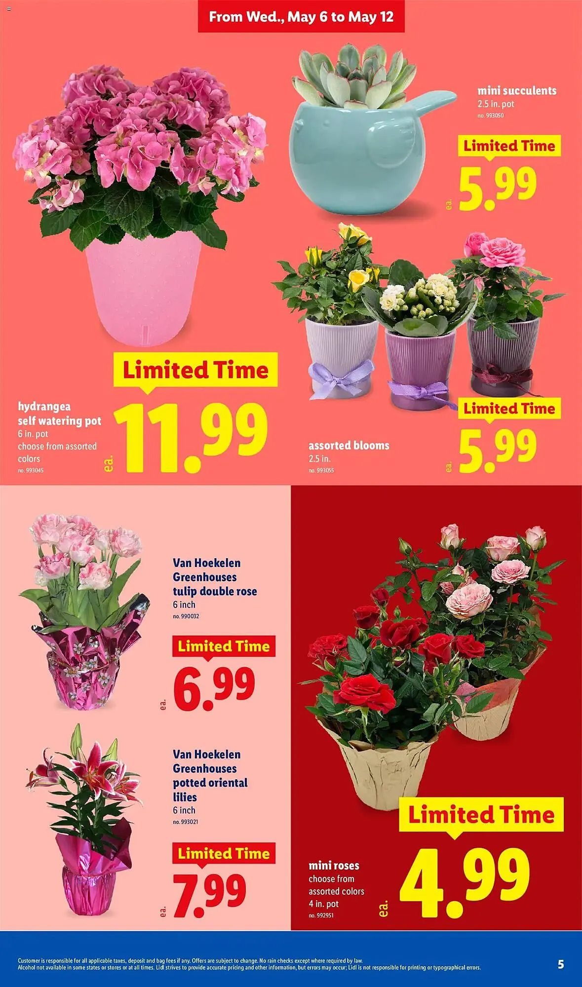 Weekly ad Lidl weekly ad from May 6 to May 12 2026 - Page 5