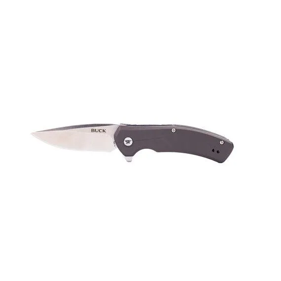 Buck Knives 795 Assisted-Opening Drop Point Folding Pocket Knife