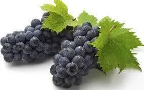 BLACK SEEDLESS GRAPES