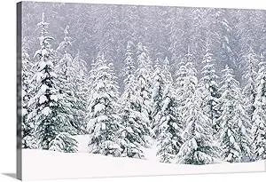 CANVAS ON DEMAND Snow Covered Pine Trees Canvas Wall Art Print, Home Decor, Winter Artwork, 24"x16"