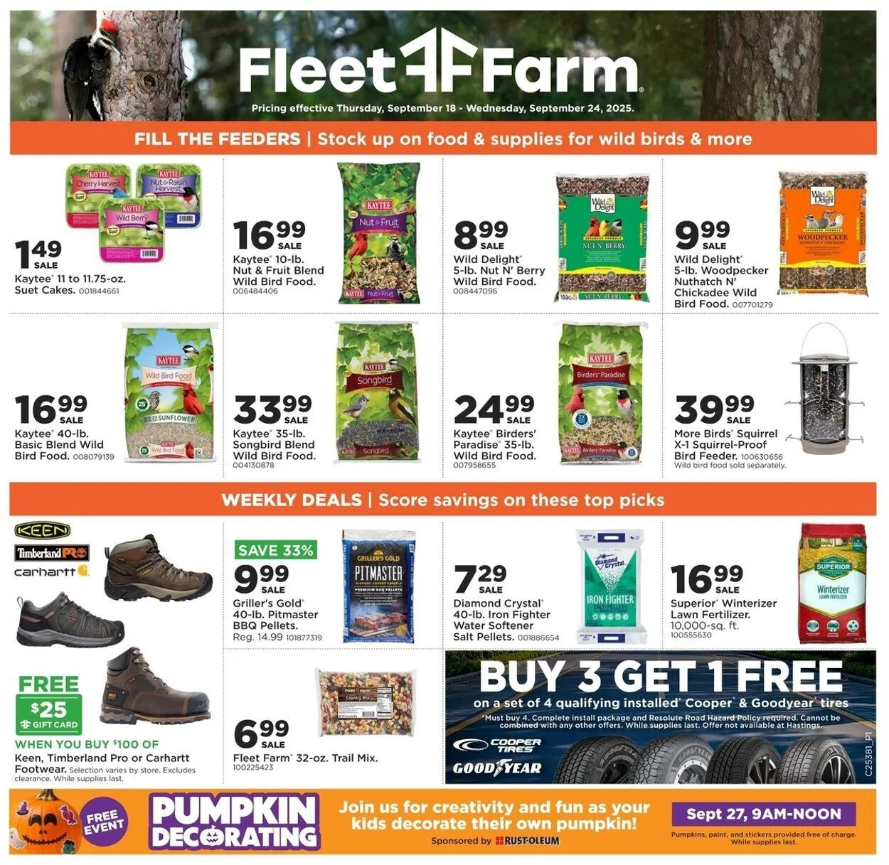 Mills Fleet Farm - 1