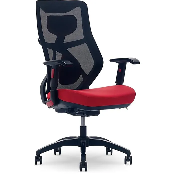 Beautyrest Duo-EX Ergonomic Mesh Swivel Computer Chair,