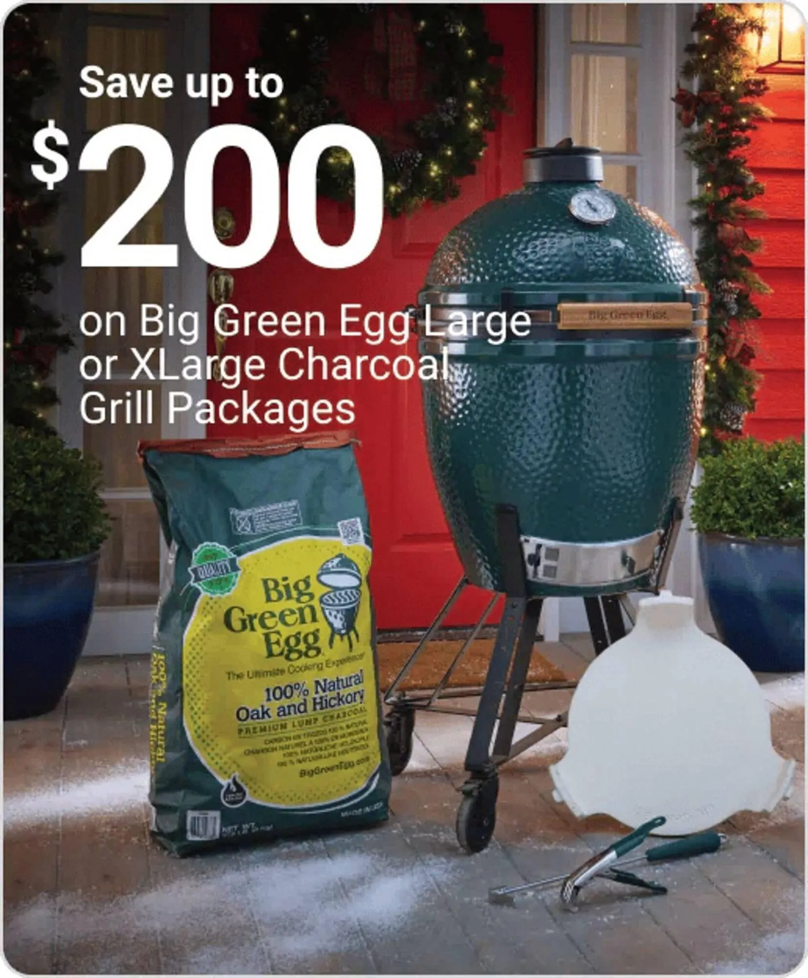 Weekly promotion Ace Hardware flyer spanning from December 3 to December 9 2025 - Page 4 for Catalogue 365