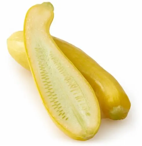 Squash Yellow