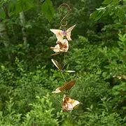 Butterfly Rain Chain