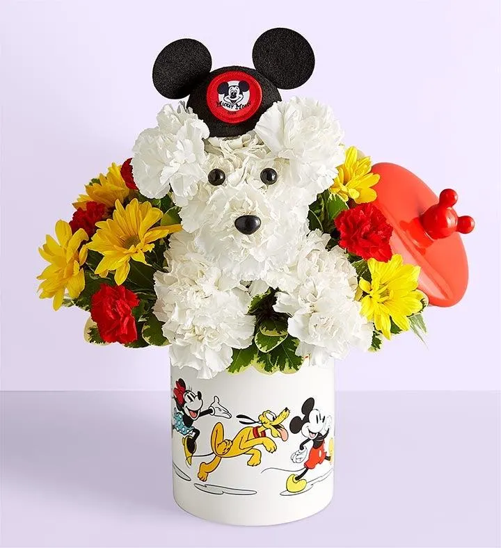 Disney Mickey Mouse and Friends Cookie Jar – a-DOG-able