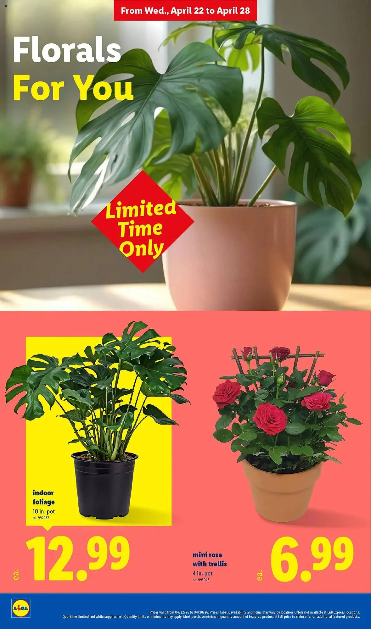 Weekly ad Lidl weekly ad from April 22 to April 28 2026 - Page 28