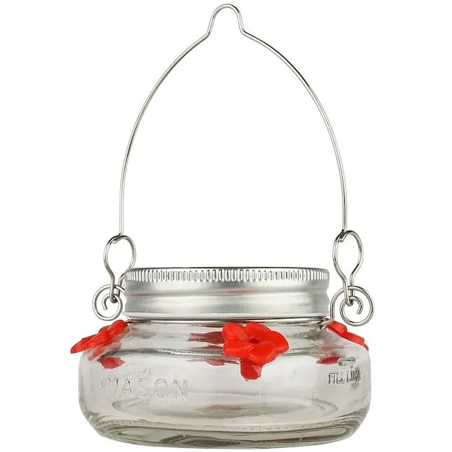 Wild Wings Glass Hanging Nectar Hummingbird feeder - 6-oz