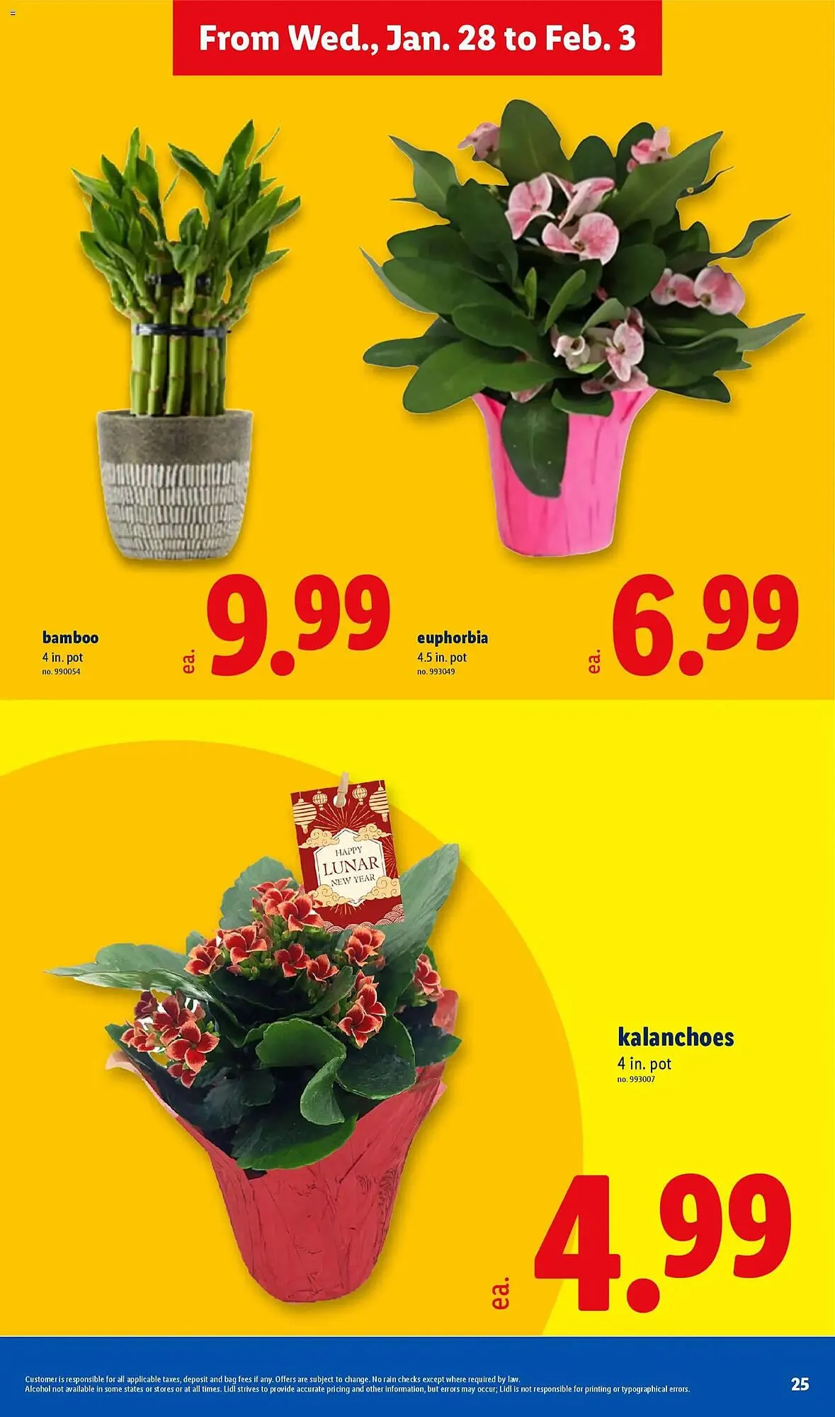 Weekly ad Lidl weekly ad from January 28 to February 4 2026 - Page 25