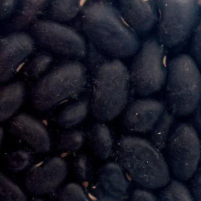 Organic Black Beans (Packaged)