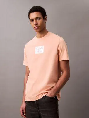 Box Logo Graphic Classic T-Shirt