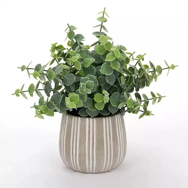 Spiral Eucalyptus Mixed Arrangement