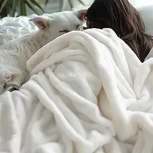 Bedsur Fleece Blankets Queen Size for Bed - GentleSoft Warm, Cozy, Soft & Thick Blanket for Winter, Heavy 500Gsm Anti-Static Design, Ideal for Couch & Sofa, Cream, 90x90 Inch