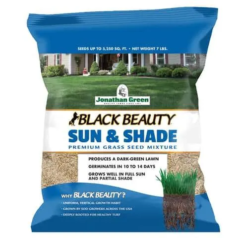 Jonathan Green Black Beauty Sun and Shade Mixed Partial Shade/Sun Grass Seed 7 lb
