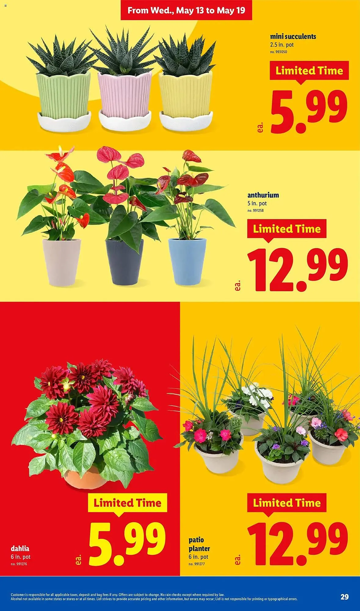 Weekly ad Lidl weekly ad from May 13 to May 19 2026 - Page 29