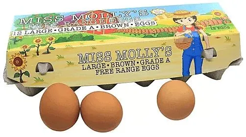 MISS MOLLY LARGE BROWN FREE RANGE EG