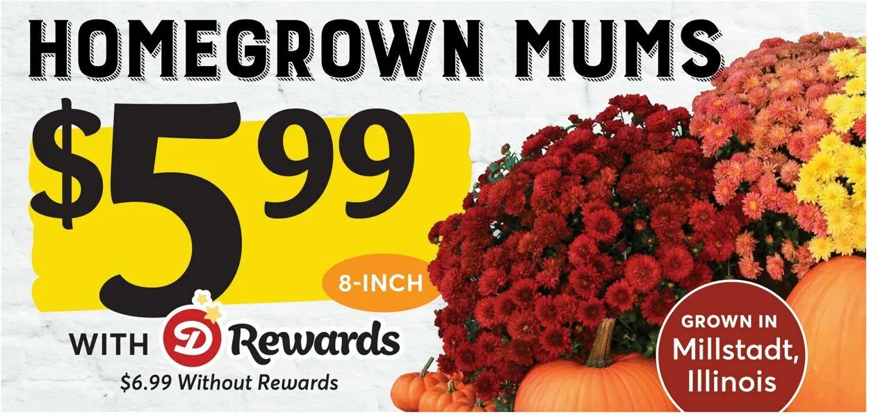 Weekly ad Dierbergs from October 7 to October 13 2025 - Page 13