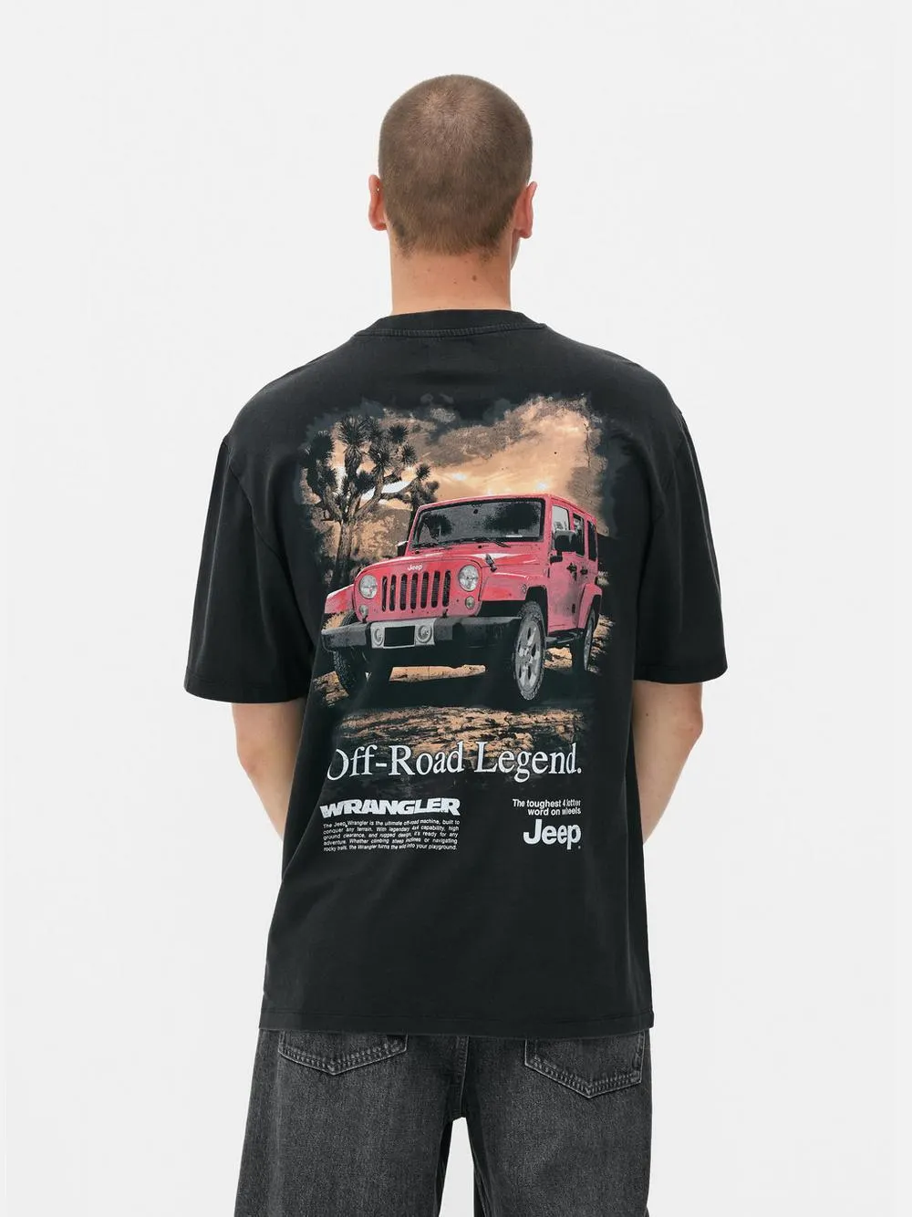 Camiseta lavada con logo de Jeep