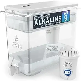 Invigorated Water - Compact Alkaline Countertop Water Filter Dispenser, 38-Cup Capacity, Mineralized Alkaline Water, BPA-Free, 96 Gallons/Filter (White, 1 NSF Filters Included)