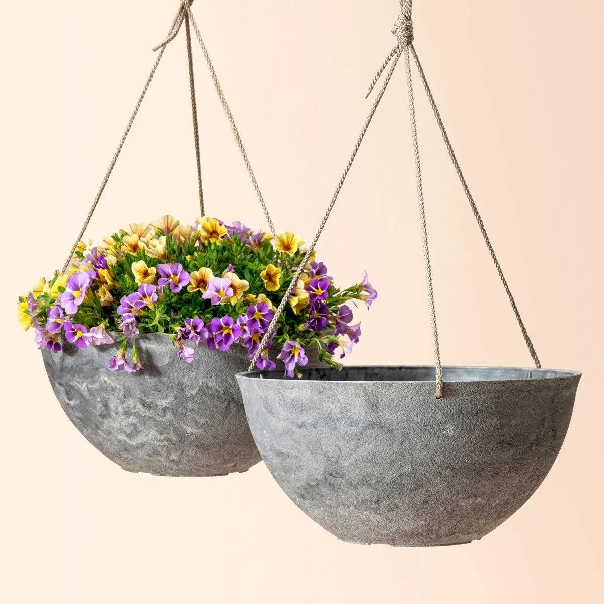 Boxdale Hanging Planter - Set of 2 (Set of 2)