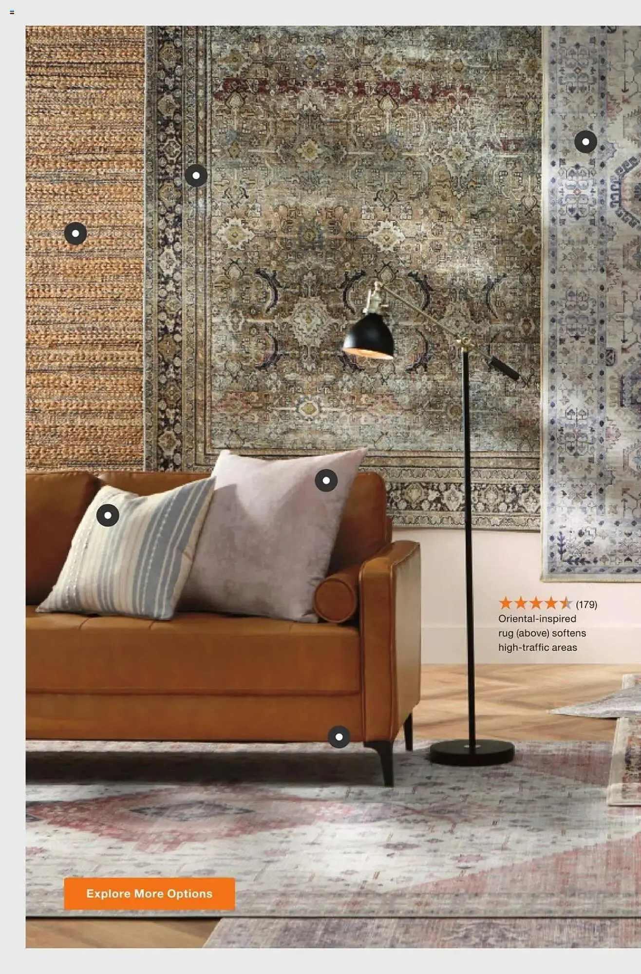 Weekly ad The Home Depot Weekly Ad from February 10 to March 23 2025 - Page 22