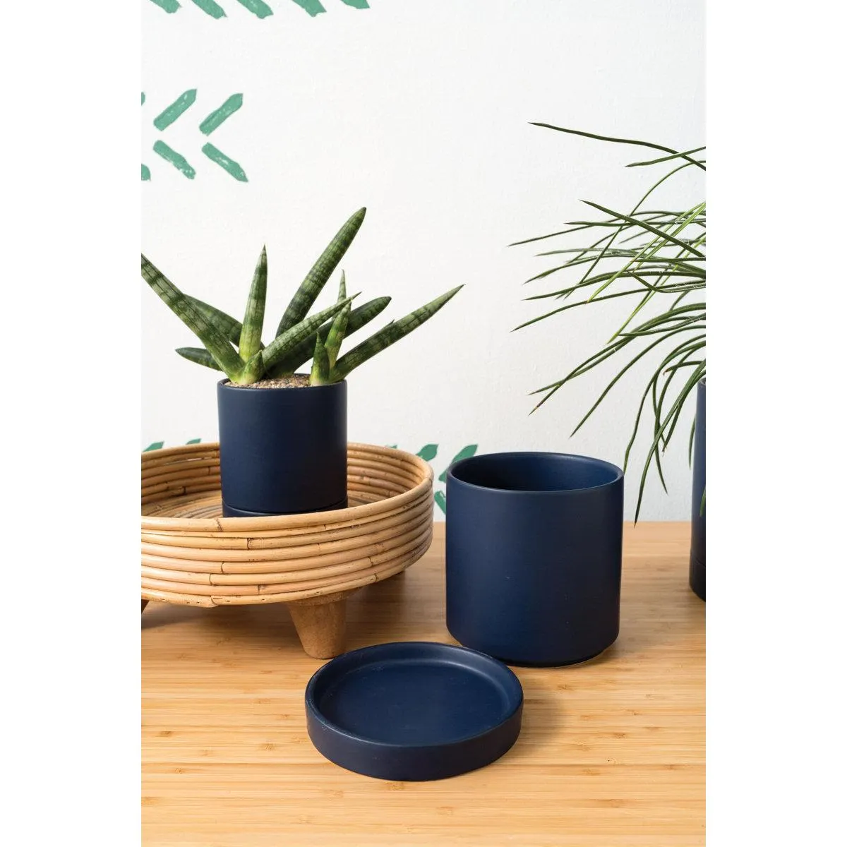 Carlotta Ceramic Pot Planter