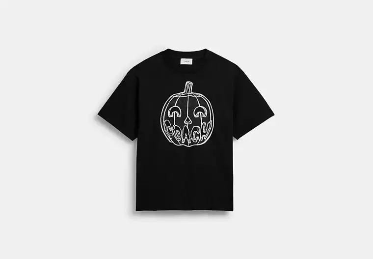 Pumpkin Relaxed T Shirt In Organic Cotton