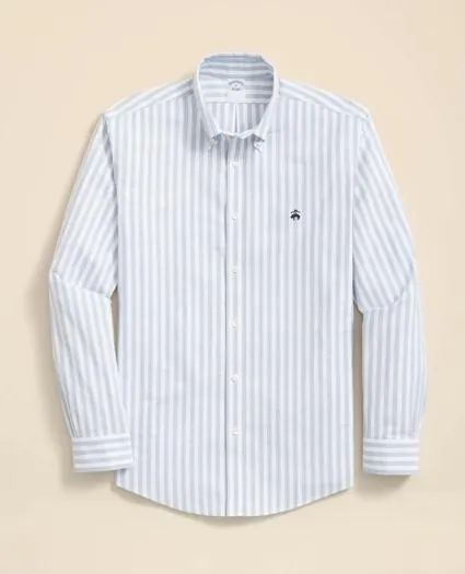 Stretch Cotton Non-Iron Oxford Polo Button Down Collar, Striped Shirt