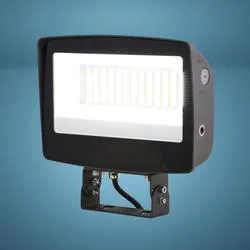 Patriot Lighting® Bronze Dusk to Dawn LED Outdoor Flood Wall Light