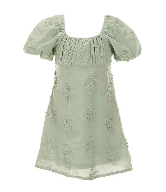 Little Girls 2T-6X Charlotte Lace Puff Sleeve Dress
