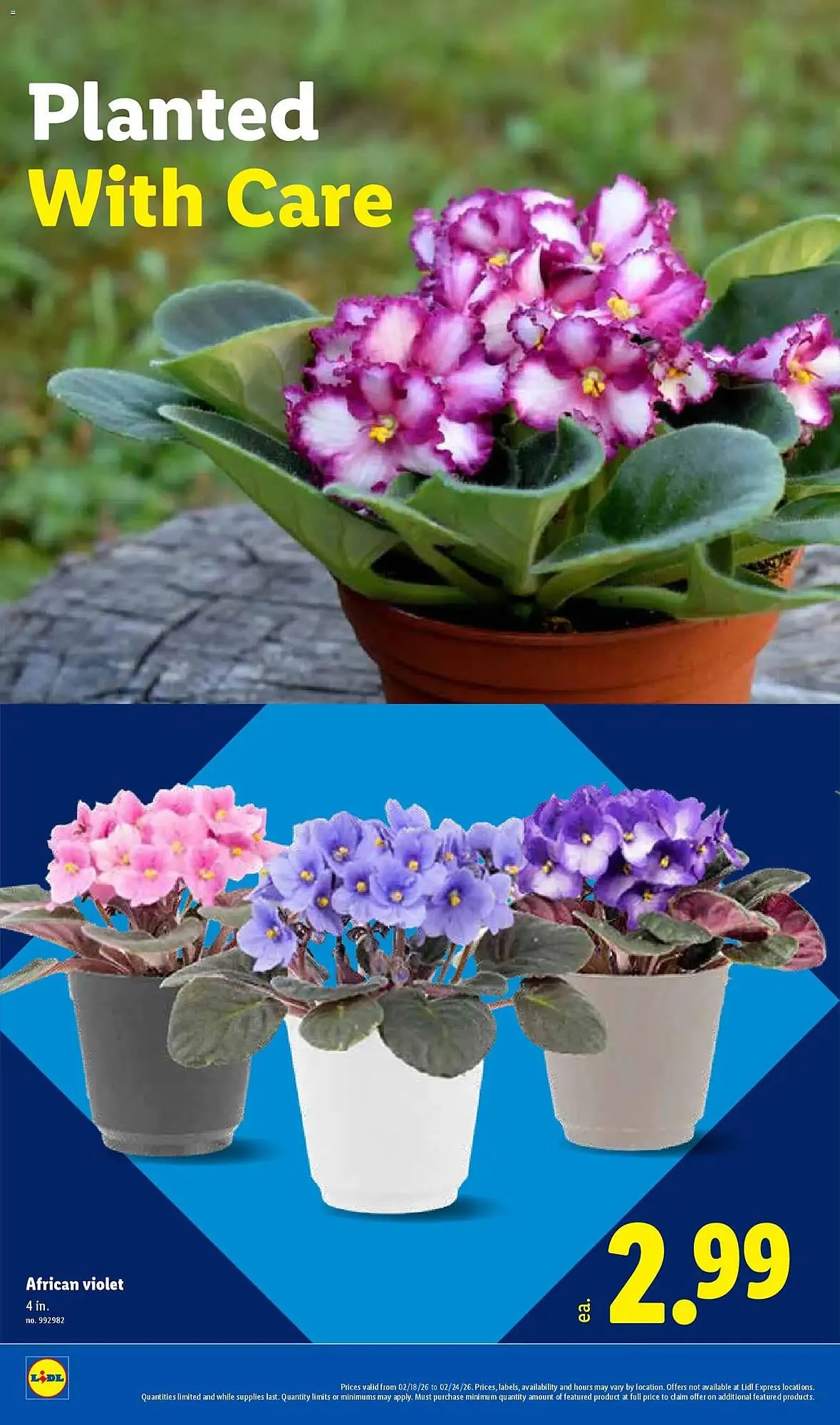 Weekly ad Lidl weekly ad from February 18 to February 24 2026 - Page 20