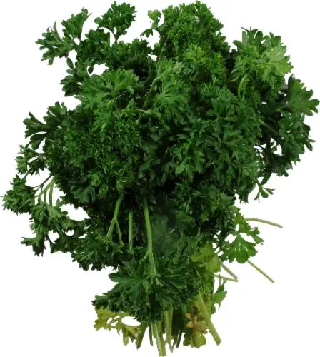 Parsley