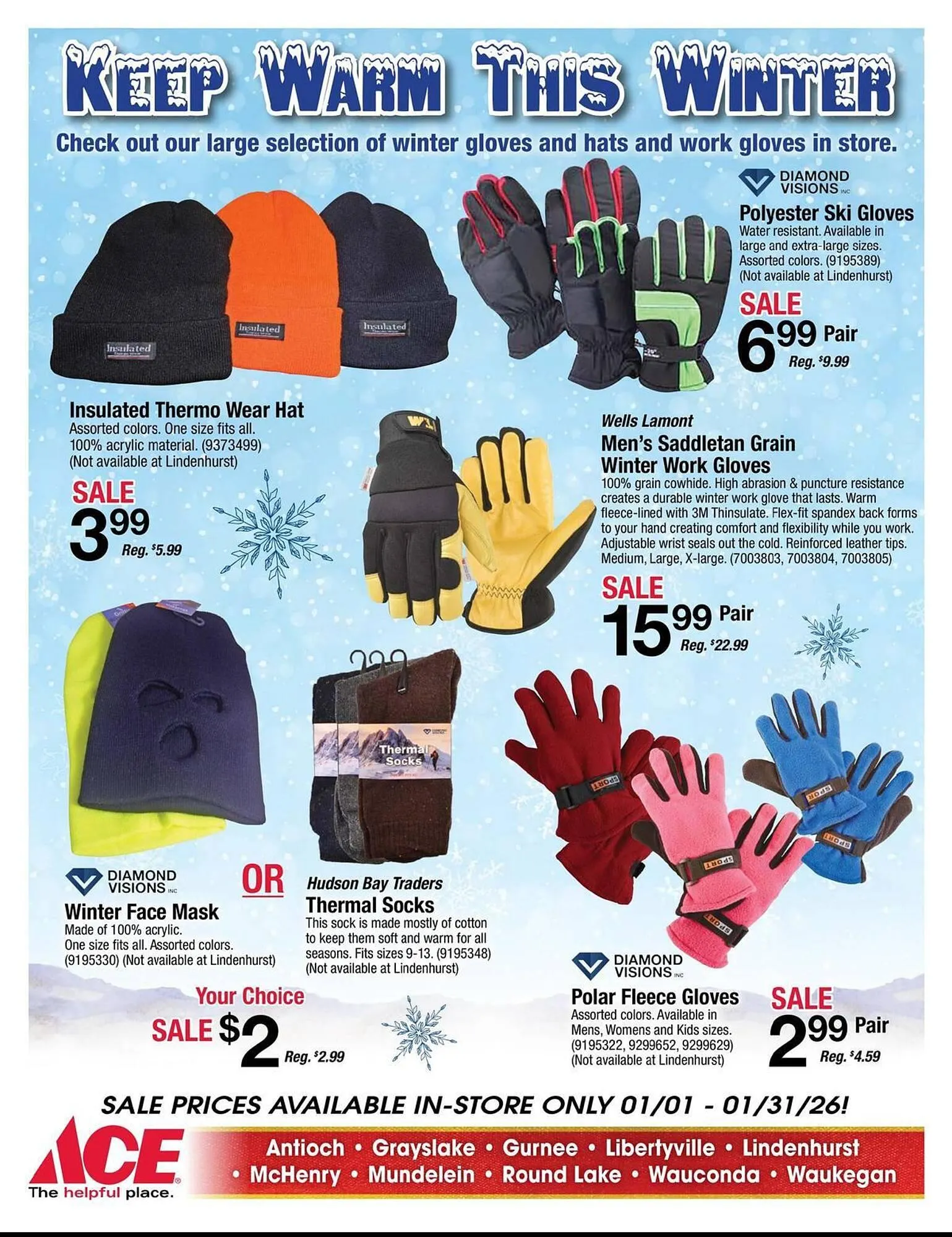 Weekly ad Ace Hardware flyer from January 1 to January 31 2026 - Page 2