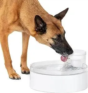 PetSafe Outlast Pet Fountain - Encourages Healthy Hydration - Pump-Free Design with HydroSpin Technology - Automatic Pet Water Bowl - Dishwasher-Safe - Long-Lasting - 128 oz