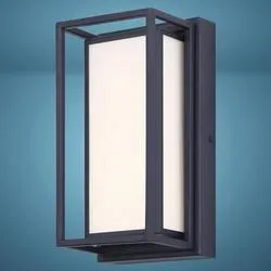 Patriot Lighting® Tisha Matte Black LED Outdoor Wall Light