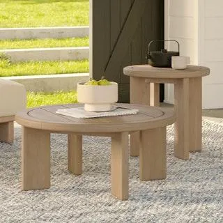 Daphne Outdoor Coffee and Side Table Set - Eucalyptus
