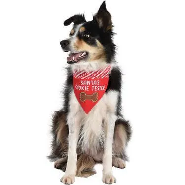 Santa Family Christmas Costumes